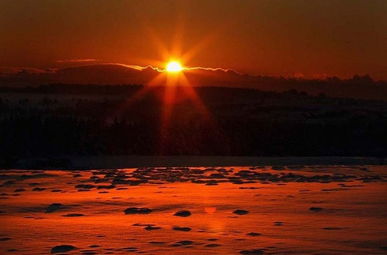 [Image: mattroi.jpg]