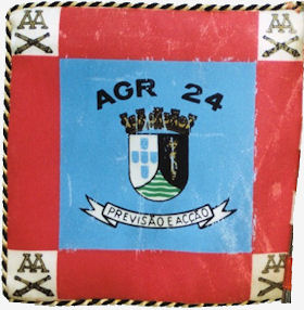 Cmd-Agrp24