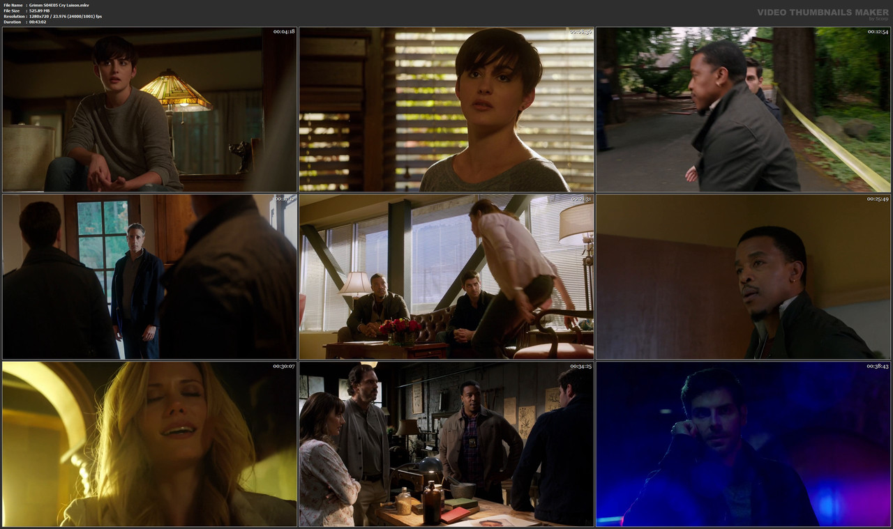 Grimm S04E05 Cry Luison.mkv