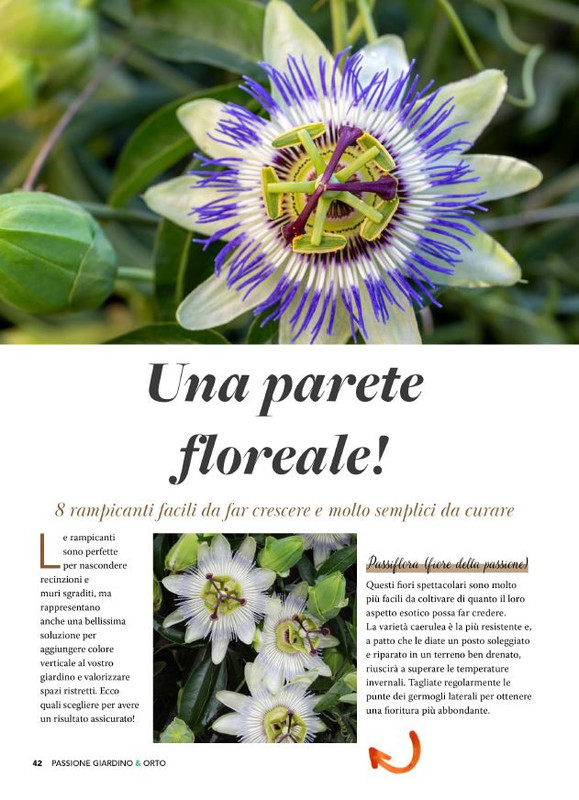 Pass Giar e Orto Giu 2025 (1)