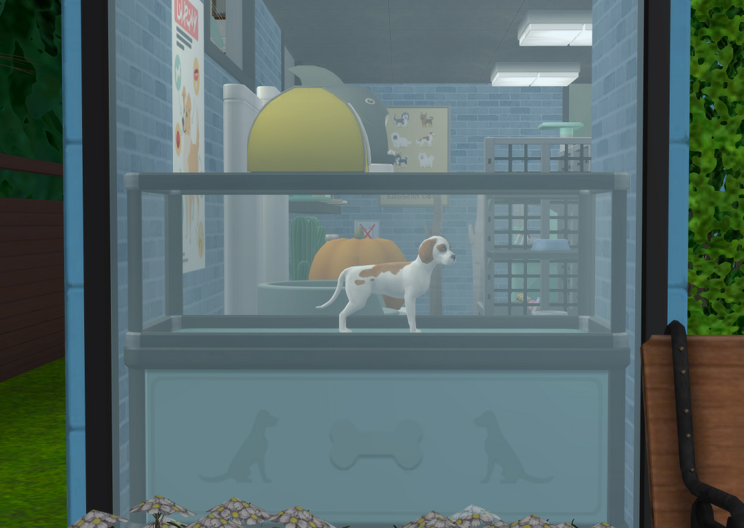 ksnip-20250223-140132