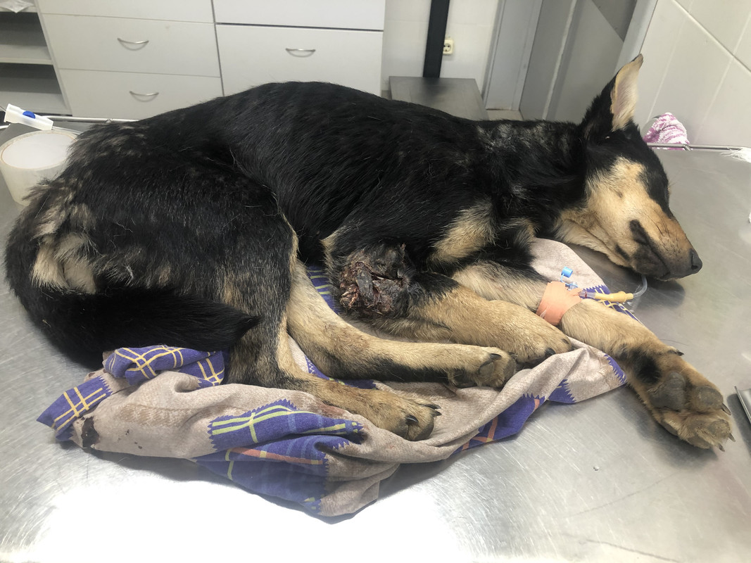 032FD107-4681-448B-9801-4825EAA11379