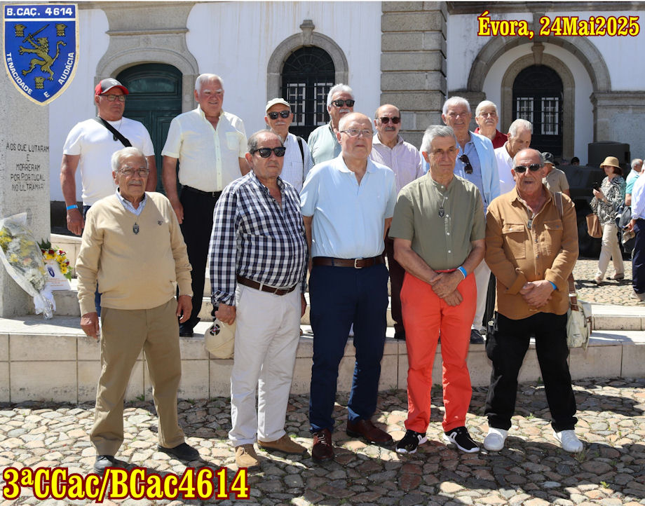 3-CCac-BCac4614