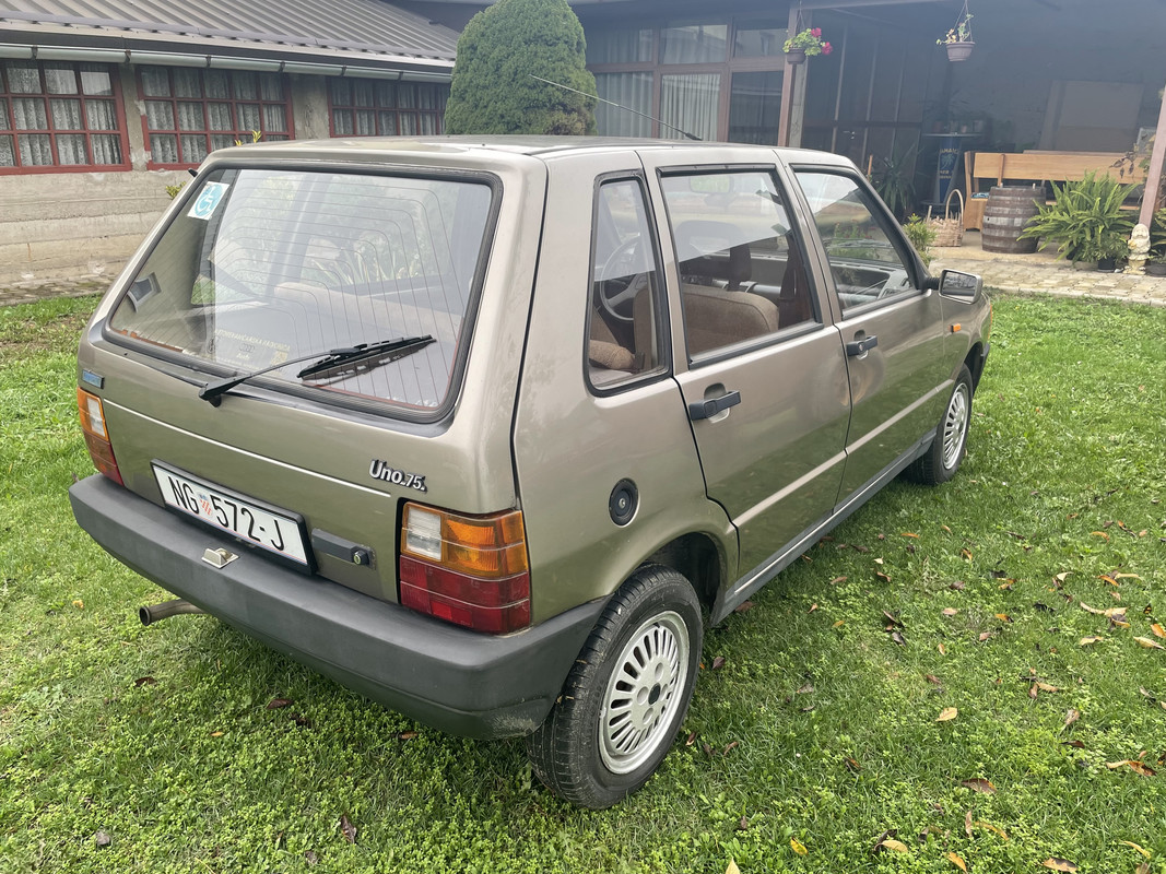 IMG_5339