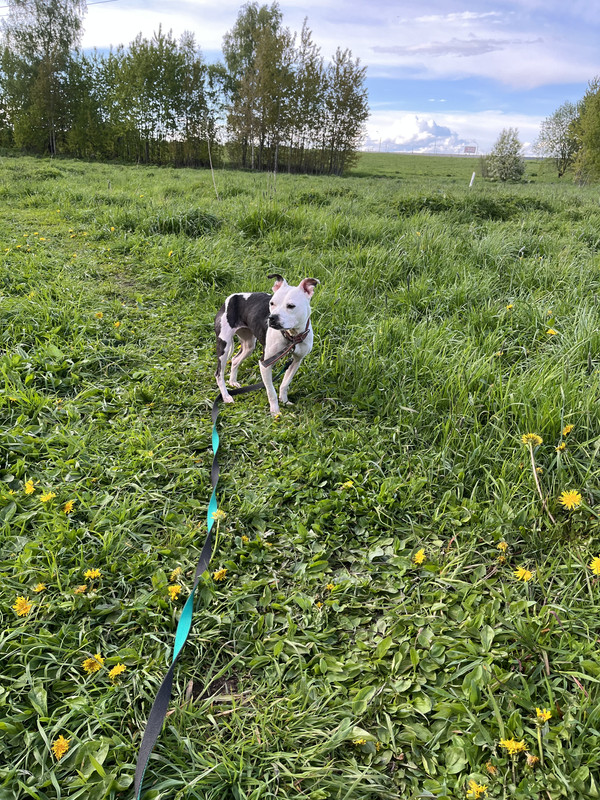 5690899C-CA3F-4DAC-8D75-67F7054C9033