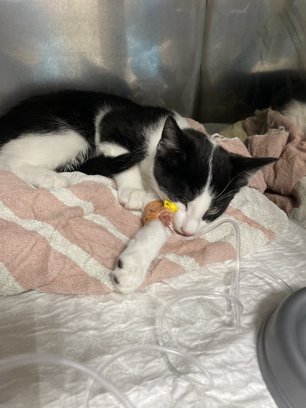 145E0878-A3F7-4936-A999-4E323940F5A7