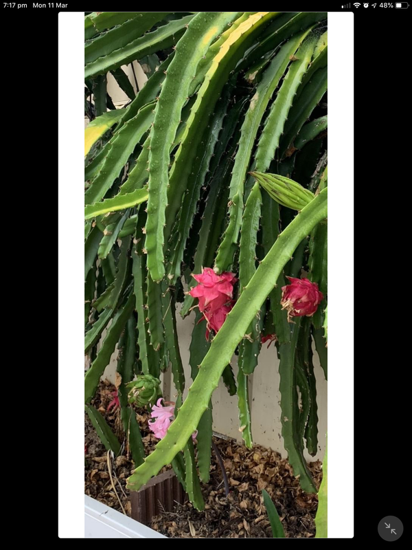 CCC38085-9012-4AD4-B33E-7B76D0116AA4