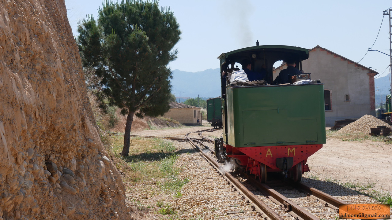 2025_Mayo (63) Móra la Nova