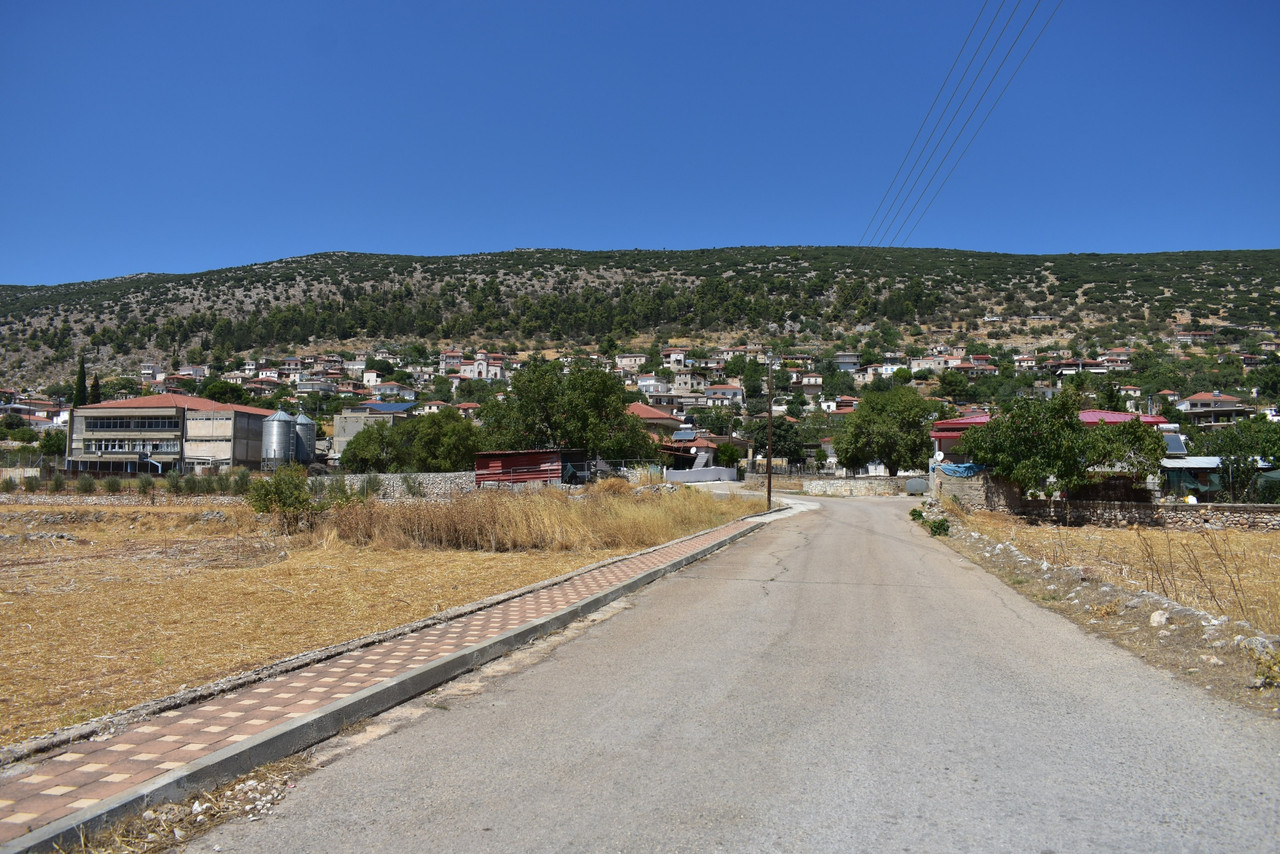 Αραχναίο (3)