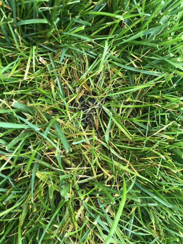 1CDC350C-7B5D-4076-8AD3-DE2CF0CBE4A5