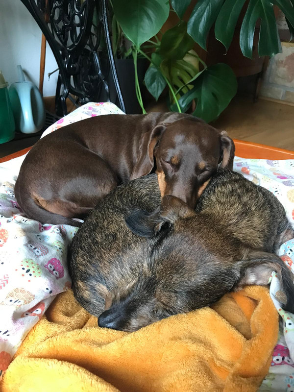 [Image: IMG-20241006-WA0001.jpg]