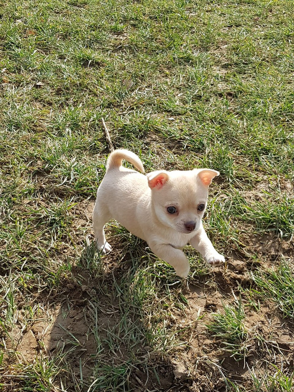 5737798E-F371-465A-954E-05CBC3157DAD