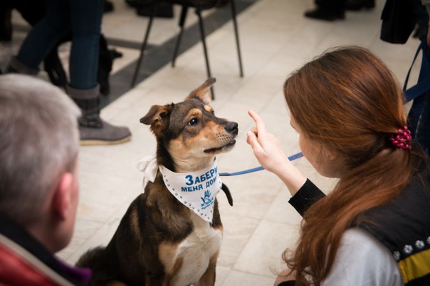 4BEEE000-C877-44DE-B7A3-60EC0CEAF8F1