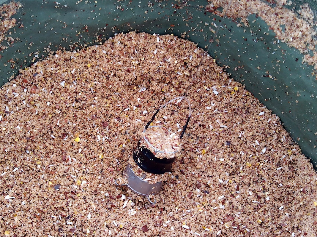 Добрянка 13.01.15-6