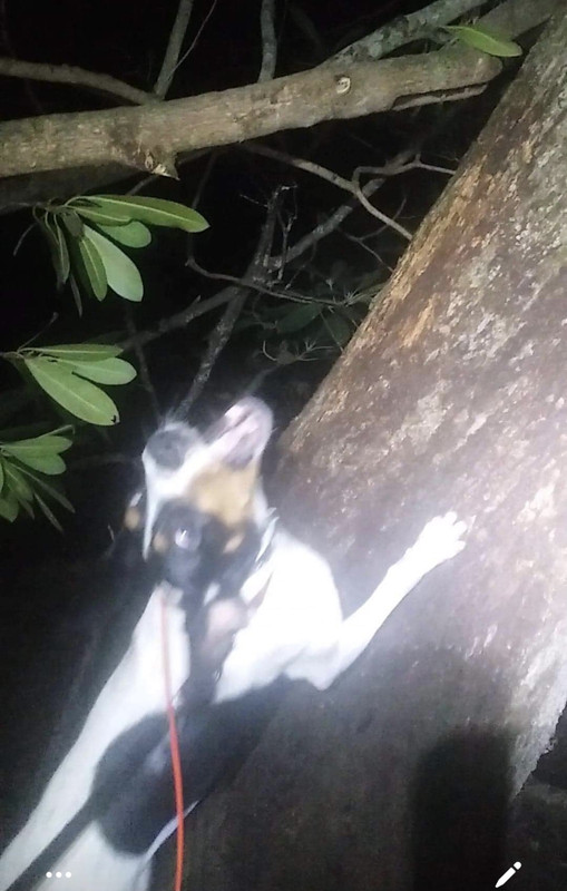 39CDFE4B-C051-44DF-9251-2567B67D6241