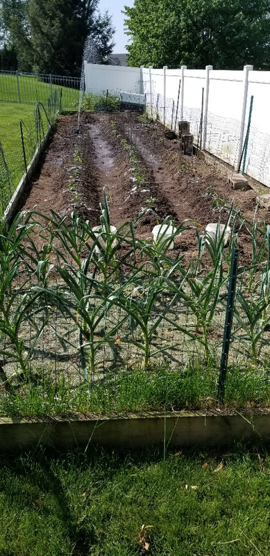 20200525_102627_resized