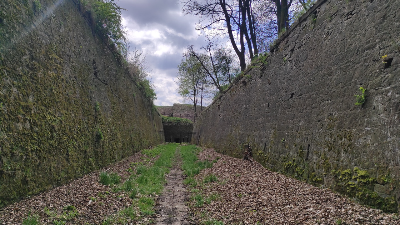 08.23 - IMG_20230430_111915 (Czesio1)