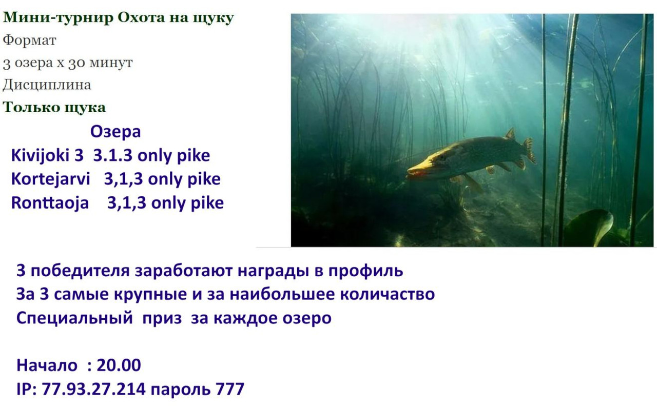 Скриншот 15-10-2025 083941