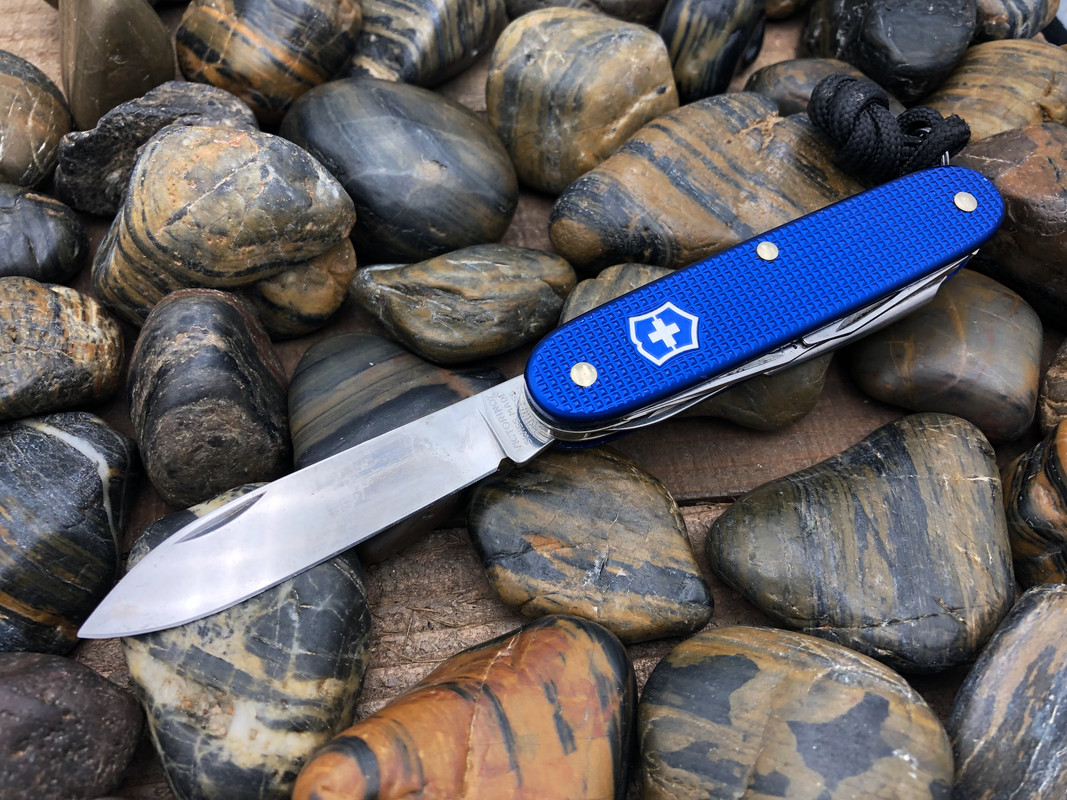 315EEA32-09FE-4853-95BC-57154CA956FC