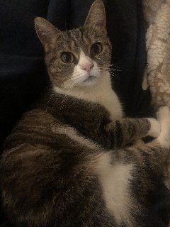 3400-E6-C7-9-B64-4704-A65-D-5-B662-EF032