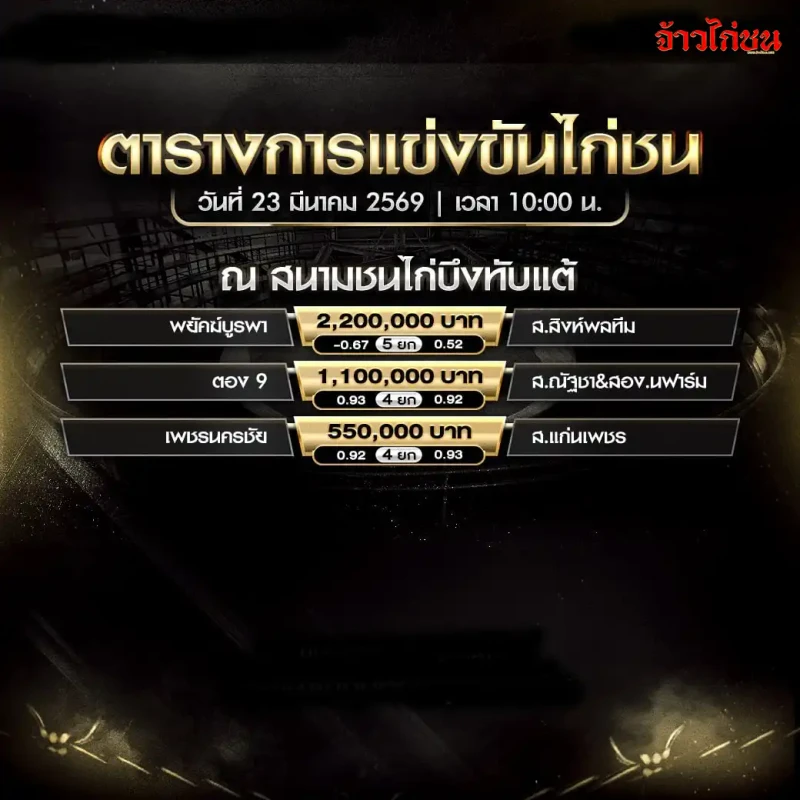 โปรแกรมไก่ชน สนามชนไก่บึงทับแต้ วันจันทร์ที่ 23 มีนาคม 2569
