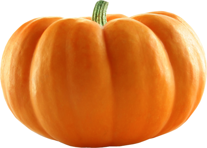 Autumn Witchery (37)