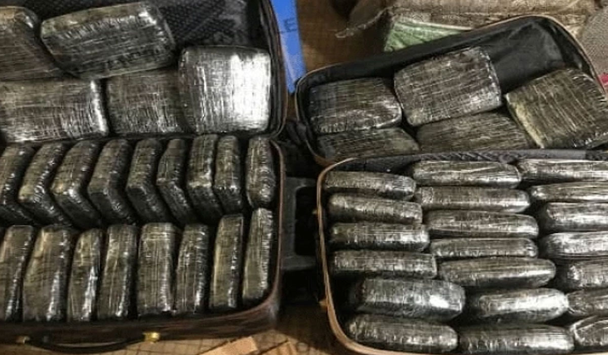 Bareskrim Amankan 248 Kg Ganja, Pengiriman Narkoba ke Jakarta Dihentikan!