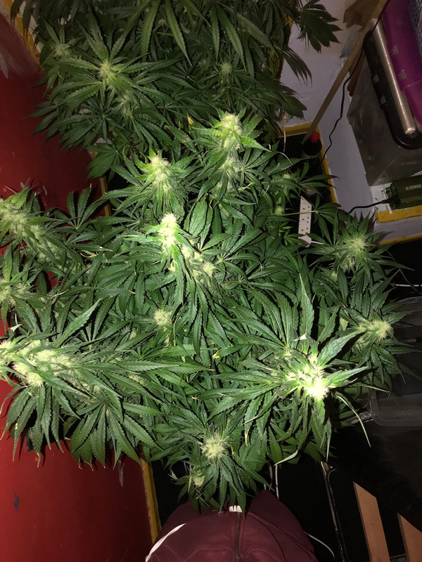 3202205C-667E-4F04-91E3-5482D78AD89F