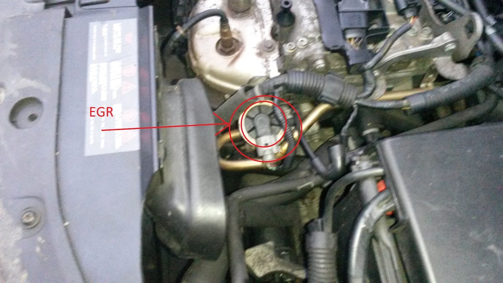 egr2