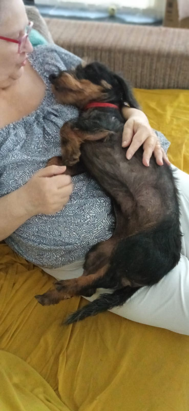 [Image: IMG-20230901-WA0003.jpg]