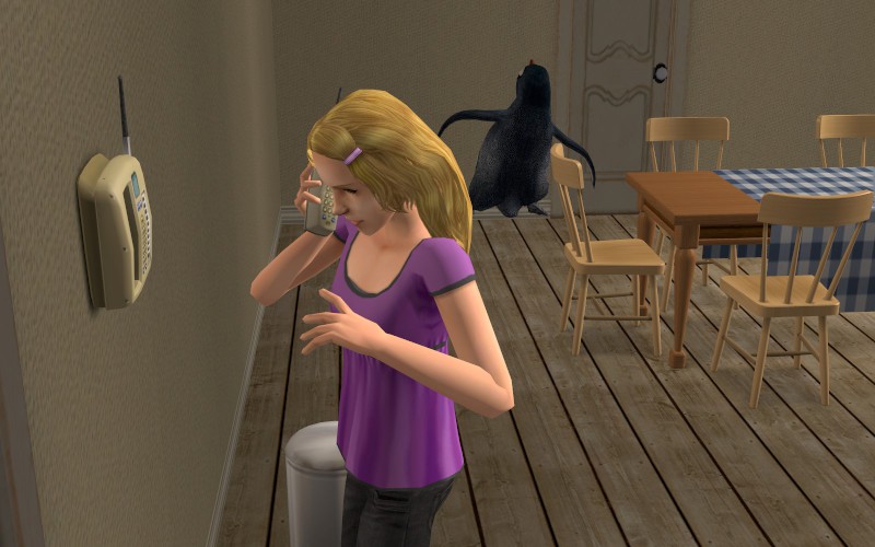 Lakewood-round5-206-800x500