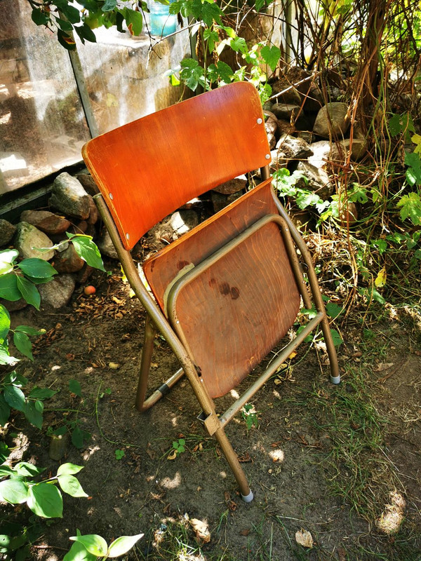 53CCC77E-B33E-4E3E-8AD4-586067FCF168