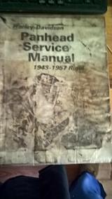 WP_20230220_11_37_23_Pro_LI (Copy)