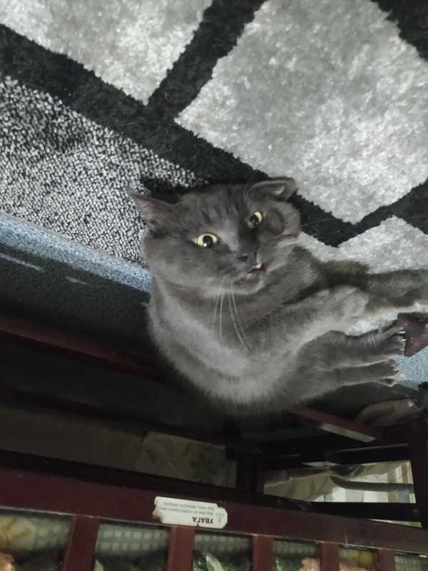 BB91EFBD-2DB8-4117-969C-BC9C2744917A