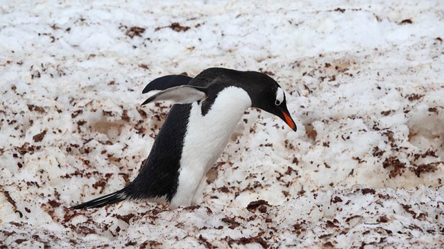 [Linked Image from i.postimg.cc]