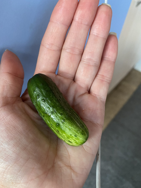 6A5B1797-3F53-4D00-9628-2A56274E61FD