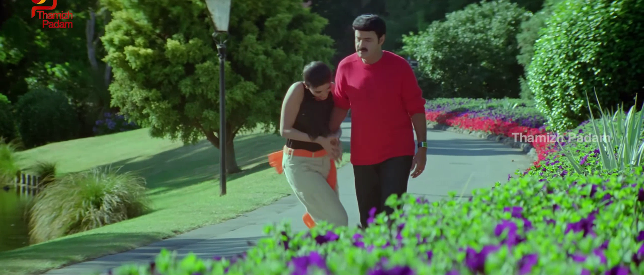 vlcsnap-2025-09-30-17h52m14s669