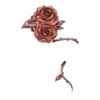 https://i.postimg.cc/6QCV5hPT/IMG-1282.webp