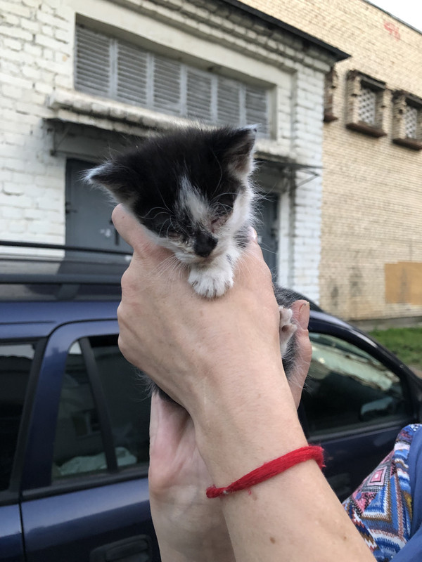 F2E2A069-9973-41FD-94CD-4041D36EB04B