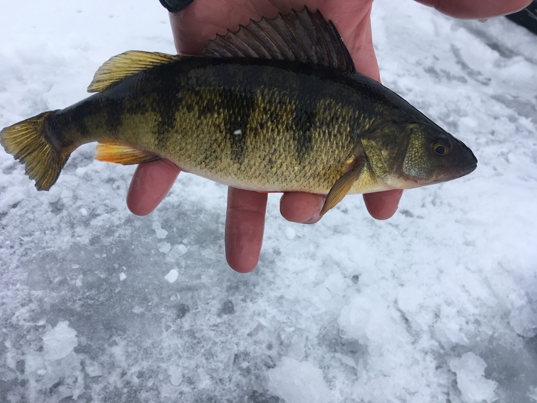 4003E1F6-2785-40B3-9195-9DE4E801172A