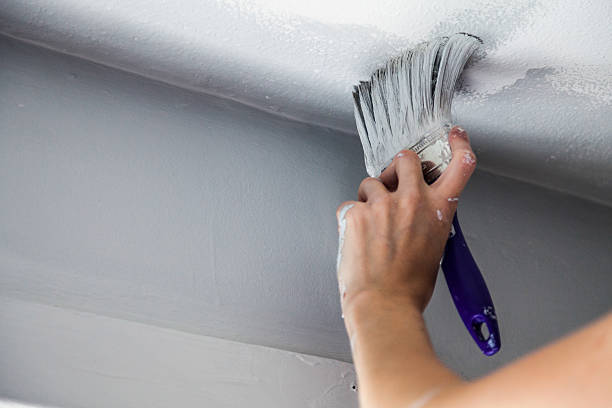 roof painting and repairs Australia