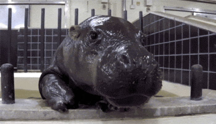 GIF-20250807-230752-960.gif