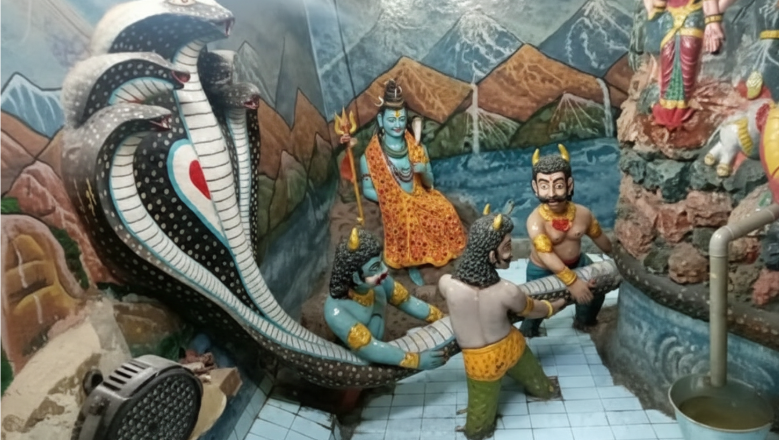 Maa Jhandewali Shringar Puja for Business Prosperity and Family Protection
