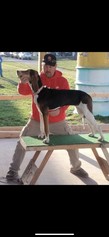 6EFE23C4-EA38-439F-99FE-590E1158289C