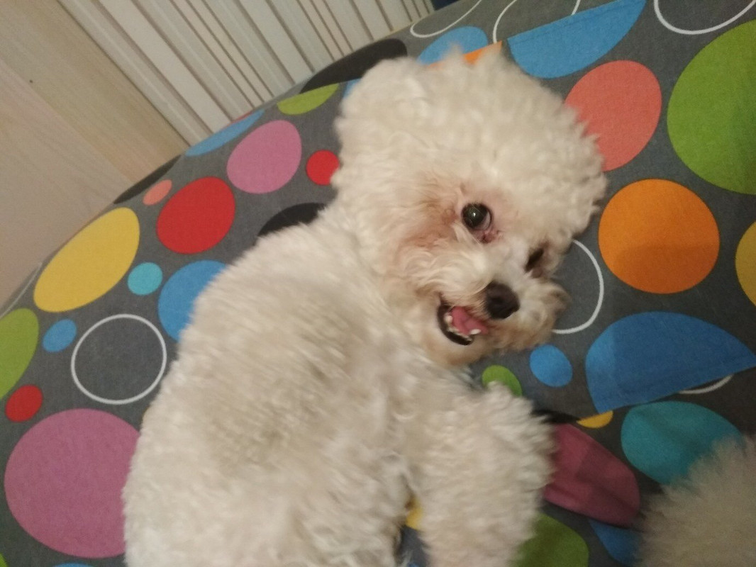 1008C1E3-15CA-45D0-AAD5-B8FB01F81B8D