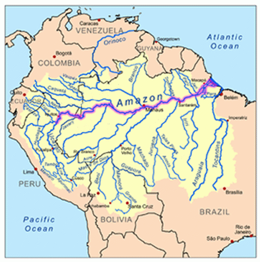 Afluentes-del-R-o-Amazonas.png