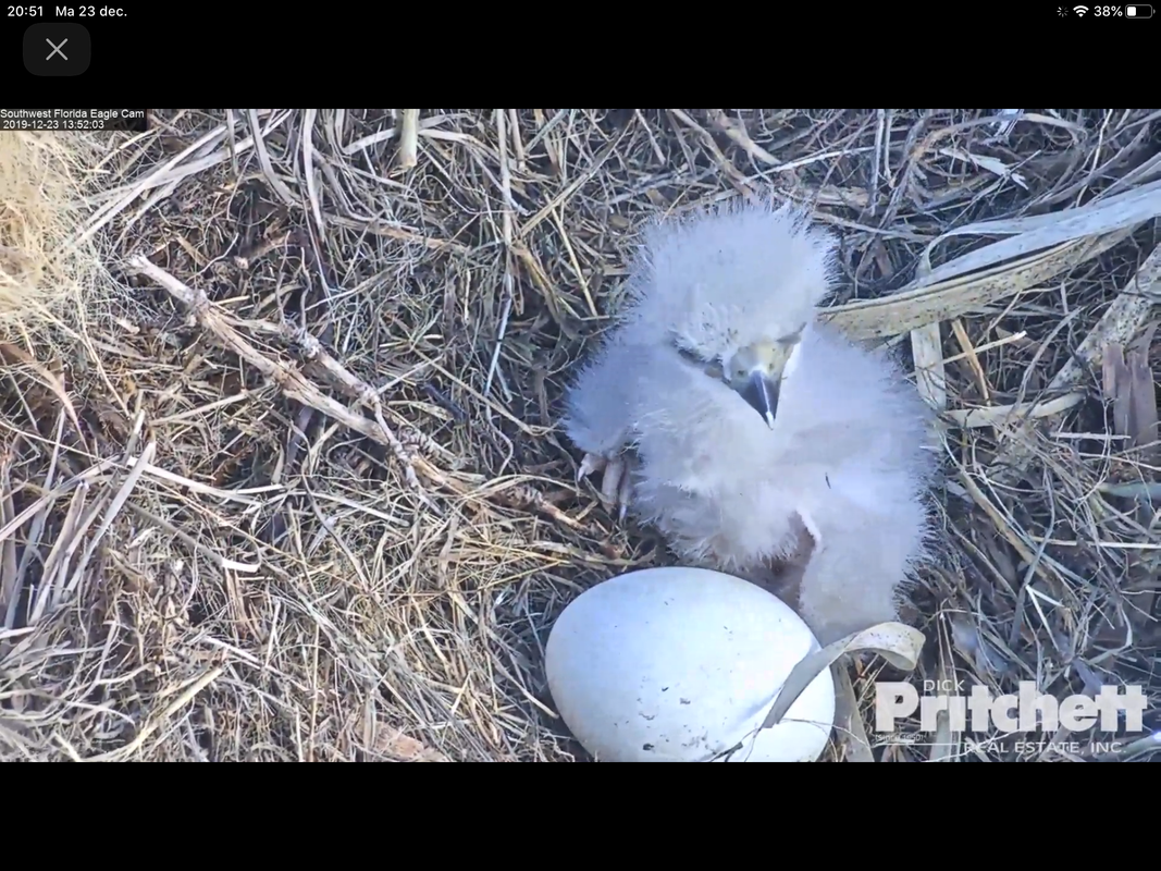 DBDF8E5E-71AD-49DB-89D9-8F2190C07A8C