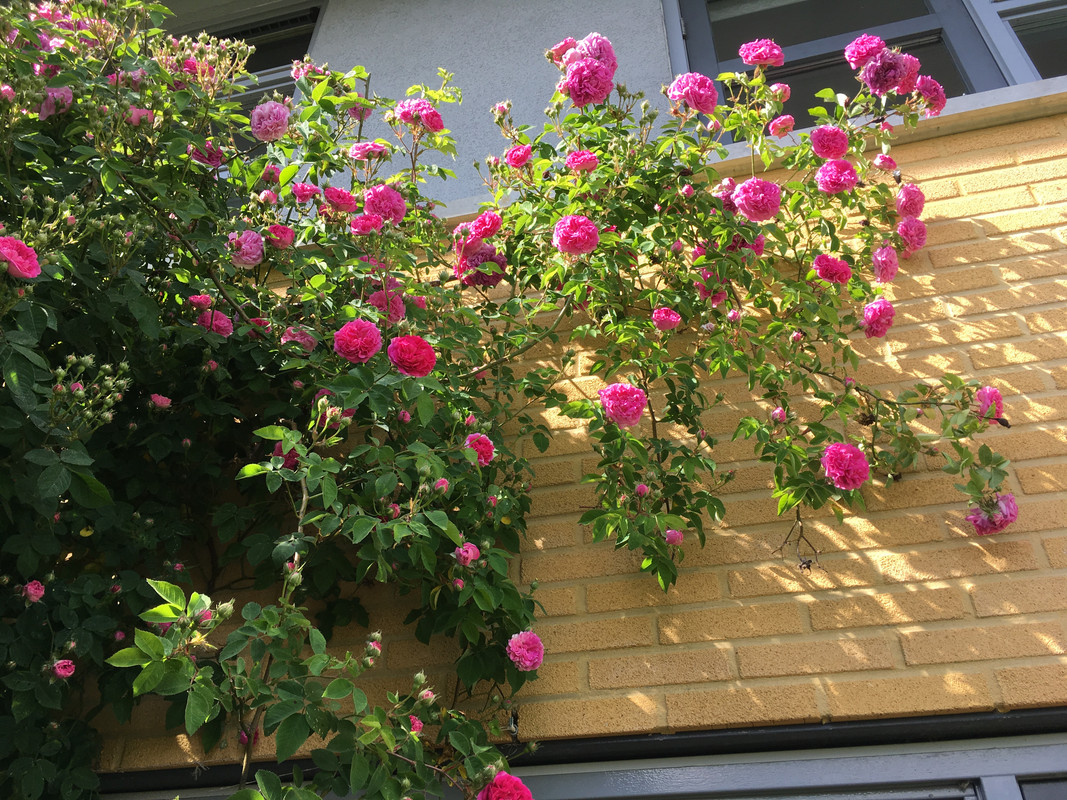 B0D6F3B2-568C-4098-BD61-B117DD97DB3B