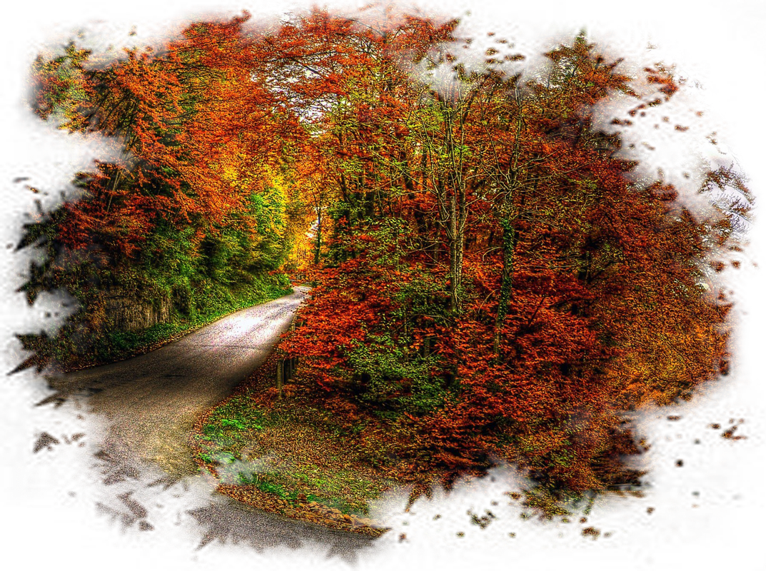 Siempre Libre & Glitters y Gifs Animados Nº366 - Página 35 Autumn-Backgrounds-1-34