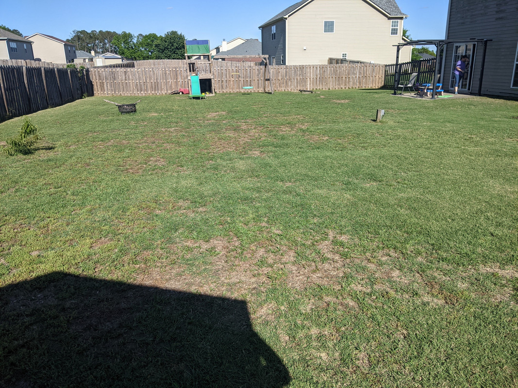 2021.05.13 back yard 4